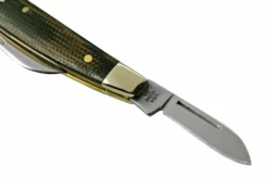 Case Small Congress 23477 Green And Black Micarta, Navaja -ES Cuchillos Ventas 2024 CE23477 04 case scaled