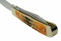 Case Trapper 65329, 6.5 BoneStag, Navaja -ES Cuchillos Ventas 2024 CE65329 05 case scaled