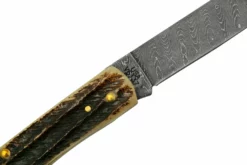 Case Sod Buser Jr 77461 Damascus Vintage Bone, Navaja -ES Cuchillos Ventas 2024 CE77461 05 case scaled