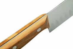 Due Cigni Tuscany DG2C760-18OL Santoku 18 Cm Madera De Olivo -ES Cuchillos Ventas 2024 DG2C760 18OL 05 duecigni scaled